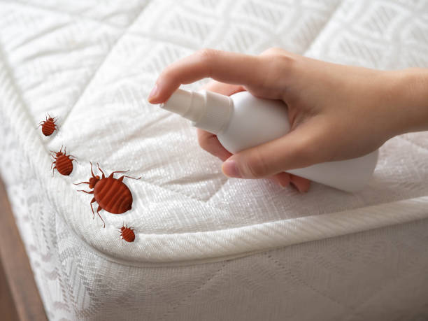Sheboygan Falls, WI Pest Control Company