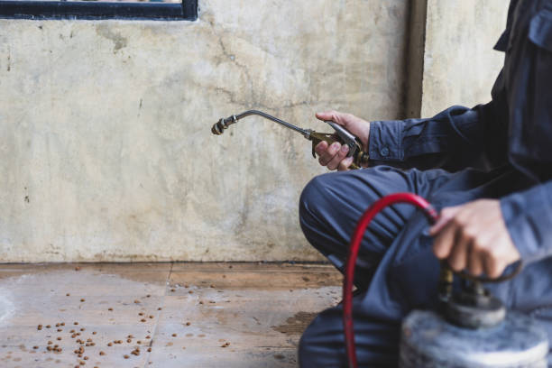 Best Wasp Removal Services  in Sheboygan Falls, WI